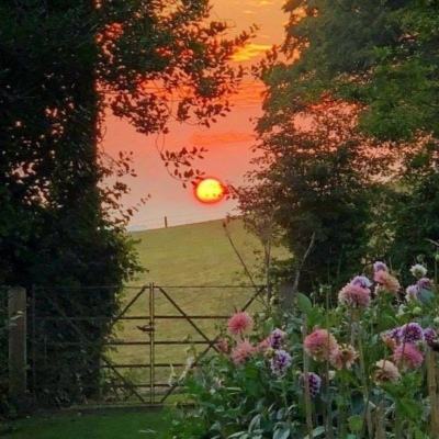 亚博棋牌下载手机版