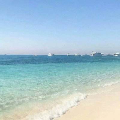 星空体育app手机app下载